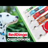 Ошейник для собак Red Dingo красный Paws 24-36 см, 15 мм | S