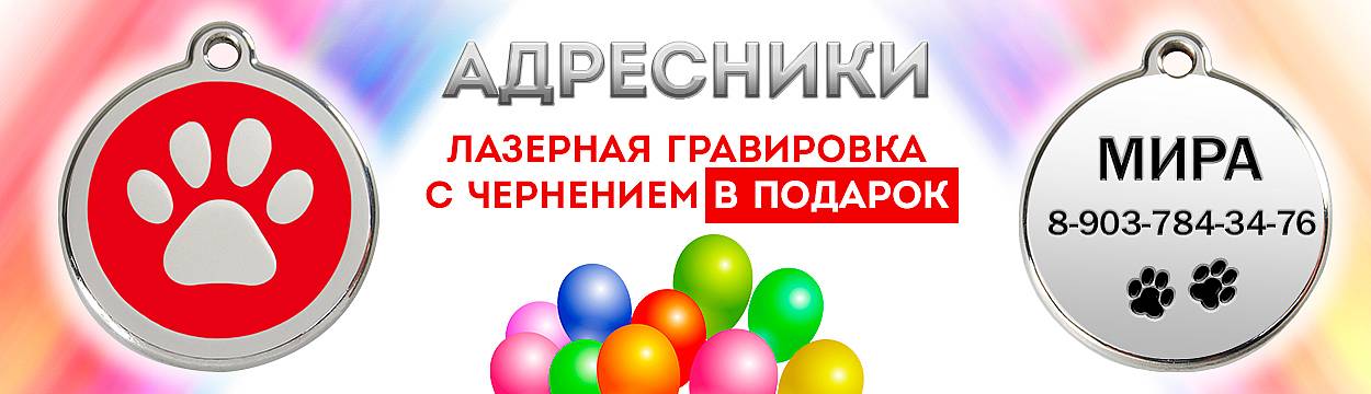 14.1250x0 Pardi.ru - internet zoomagazin dlya sobak v Moskve zoomagazin, internet magazin tovarov dlya domashnih jivotnih 