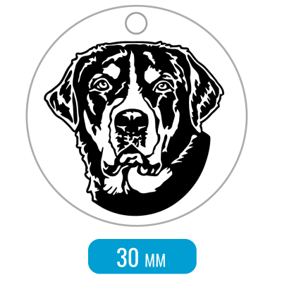 Адресник для собаки Большой швейцарский зенненхунд портрет 30x30мм