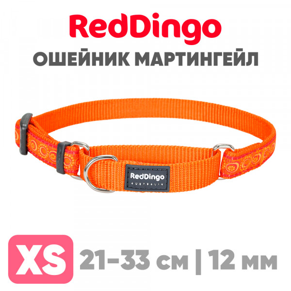 Мартингейл ошейник для собак Red Dingo оранжевый Cosmos 21-33 см, 12 мм | XS