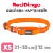 Мартингейл ошейник для собак Red Dingo оранжевый Paws 21-33 см, 12 мм | XS