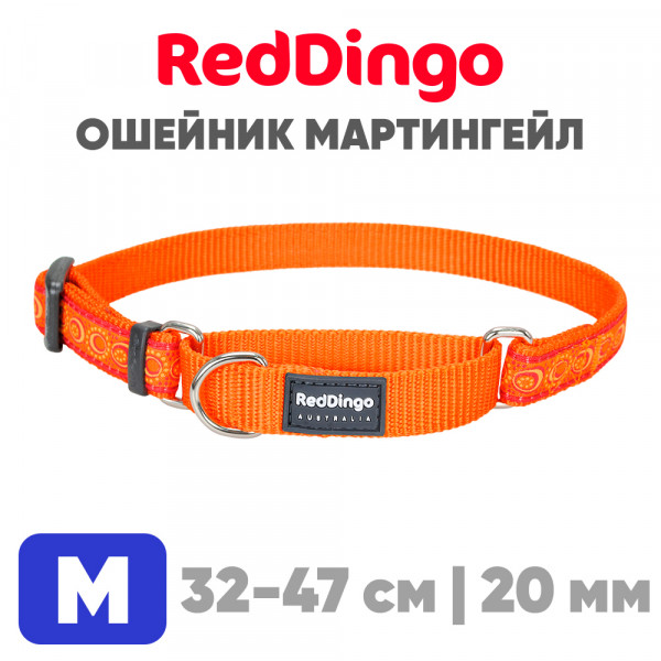 Мартингейл ошейник для собак Red Dingo оранжевый Cosmos 32-47 см, 20 мм | M