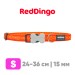 Ошейник для собак Red Dingo оранжевый Cosmos 24-36 см, 15 мм | S