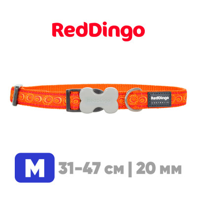 Ошейник с застежкой Red Dingo оранжевый Cosmos 31-47 см, 20 мм | M