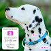 Ошейник для собак Red Dingo розовый Breezy Love 24-36 см, 15 мм | S