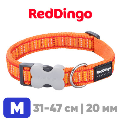 Ошейник с застежкой Red Dingo оранжевый Lotzadotz 31-47 см, 20 мм | M