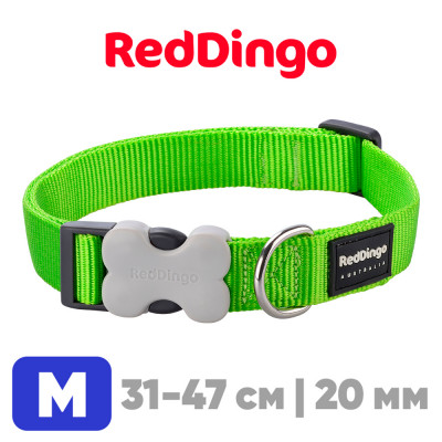 Ошейник с застежкой Red Dingo лайм Plain 31-47 см, 20 мм | M