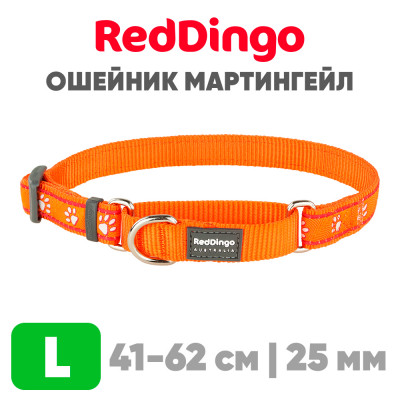 Мартингейл ошейник для собак Red Dingo оранжевый Paws 41-62 см, 25 | L