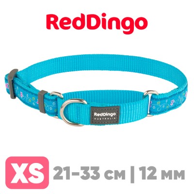 Мартингейл ошейник для собак Red Dingo лазурный Butterfly 21-33 см, 12 мм | XS