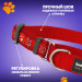 Mартингейл ошейник для собак Red Dingo светоотражающий лайм 24-36 см, 15 мм | S