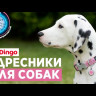 Адресник для собаки Red Dingo средний M ярко-розовый с лапкой