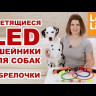 Pet Safety светящийся ошейник для собак USB оранжевый