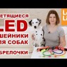 Pet Safety светящийся ошейник для собак USB ДИСКО