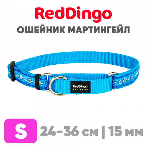 Мартингейл ошейник для собак Red Dingo лазурный Daisy Chain 24-36 см, 15 мм | S