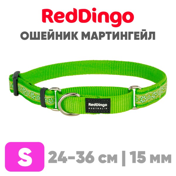 Mартингейл ошейник для собак Red Dingo лайм Daisy Chain 24-36 см, 15 мм | S