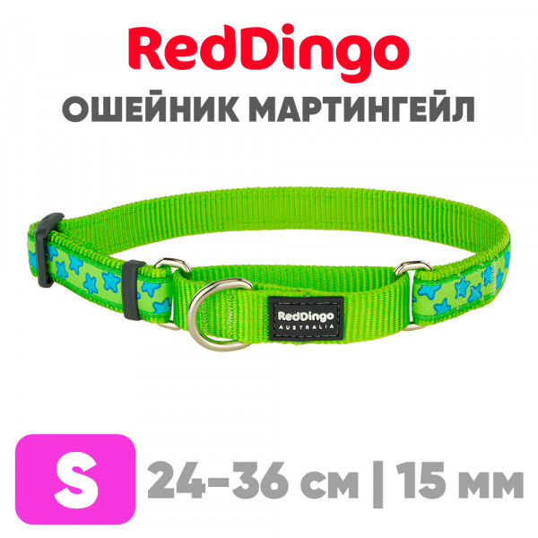 Mартингейл ошейник для собак Red Dingo лайм Stars 24-36 см, 15 мм | S