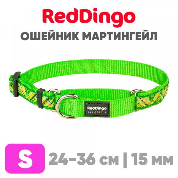 Mартингейл ошейник для собак Red Dingo лайм Flanno 24-36 см, 15 мм | S