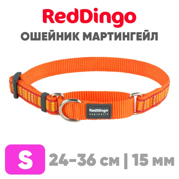 Mартингейл ошейник для собак Red Dingo оранжевый Lotzadotz 24-36 см, 15 мм | S