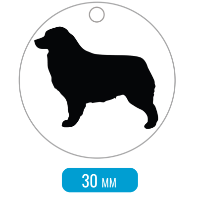 Адресник для собаки Австралийская овчарка средний 30x30мм