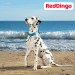 Мартингейл ошейник для собак Red Dingo светоотражающий лазурный Ziggy 41-62 см, 25 | L