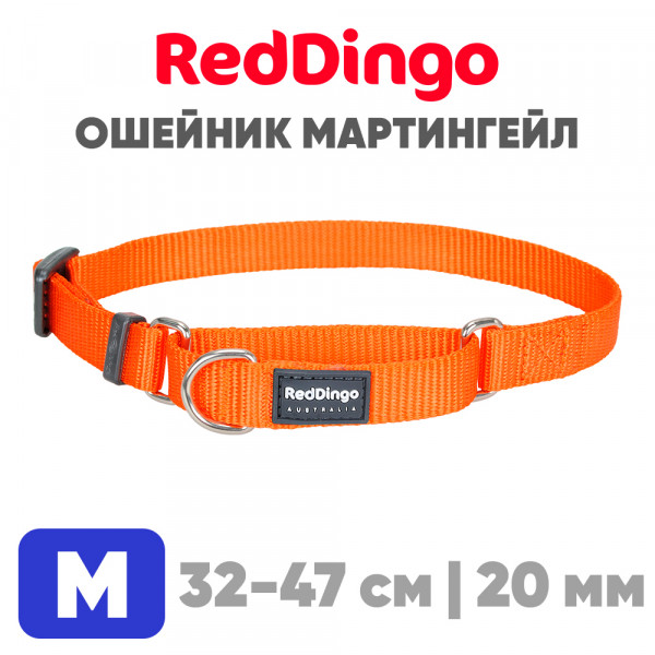 Мартингейл ошейник для собак Red Dingo оранжевый Plain 32-47 см, 20 мм | M