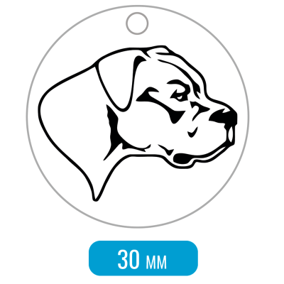 Адресник для собаки Аргентинский дог не купированный портрет профиль средний 30x30мм