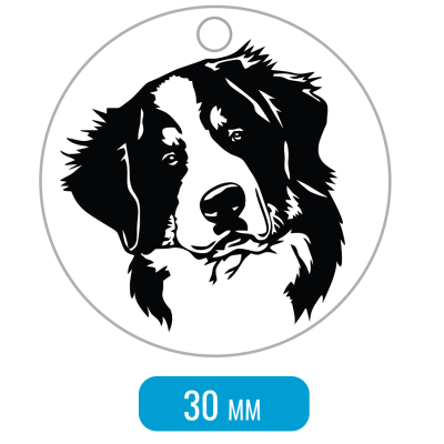 Адресник для собаки Бернский зенненхунд портрет наклон средний 30x30мм