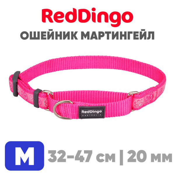 Мартингейл ошейник для собак Red Dingo ярко-розовый Paws 32-47 см, 20 мм | M